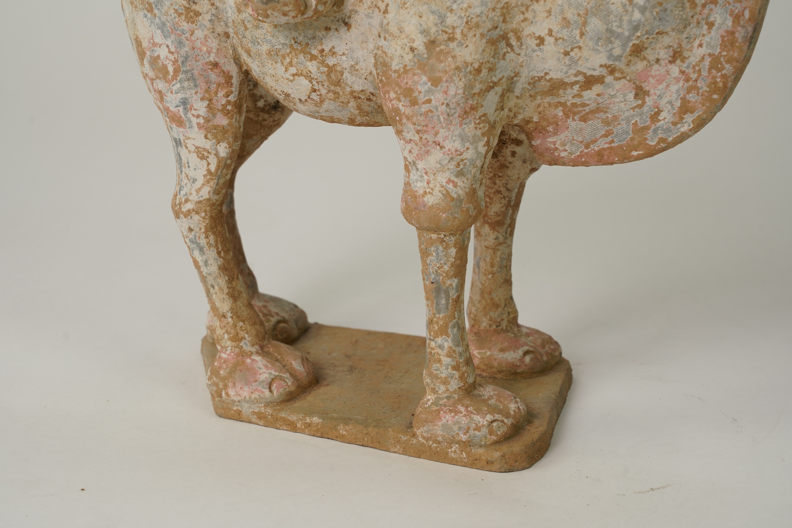 A Chinese pottery tomb figure of a Bactrian camel, Tang dynasty or later